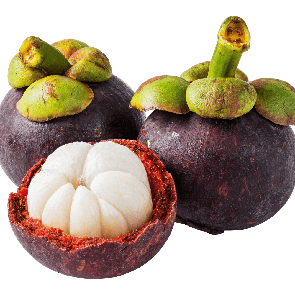 Mangosteen