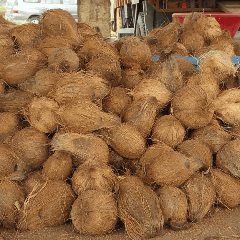 Untitled design - 2025-06-09T110539.461