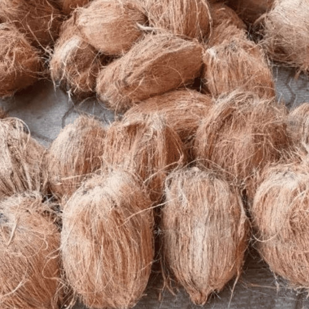 Untitled design - 2025-06-09T110631.395