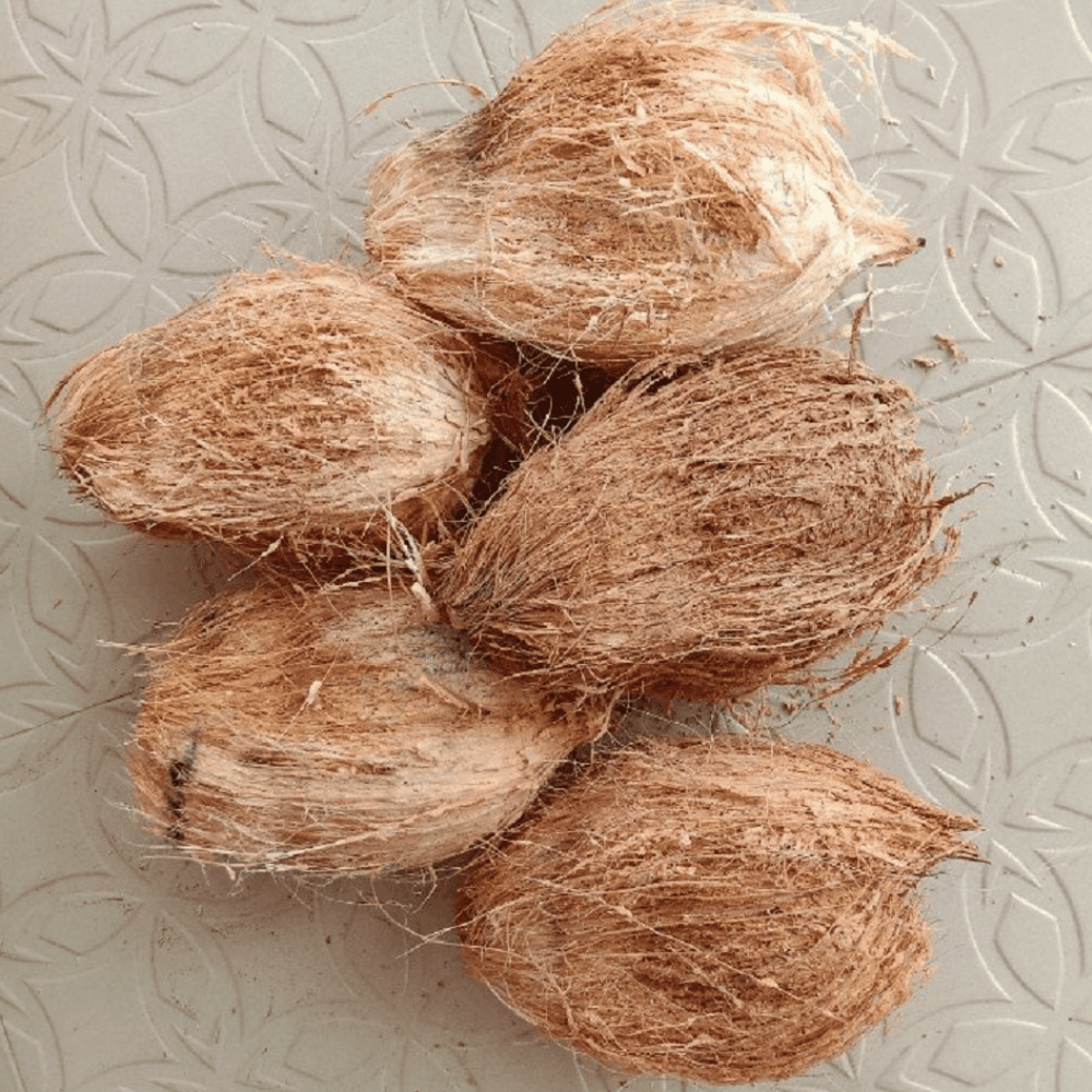 Untitled design - 2025-06-09T110910.919