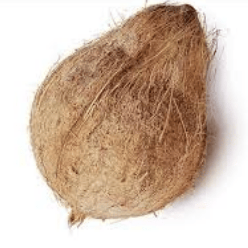 Untitled design - 2025-06-09T111107.426