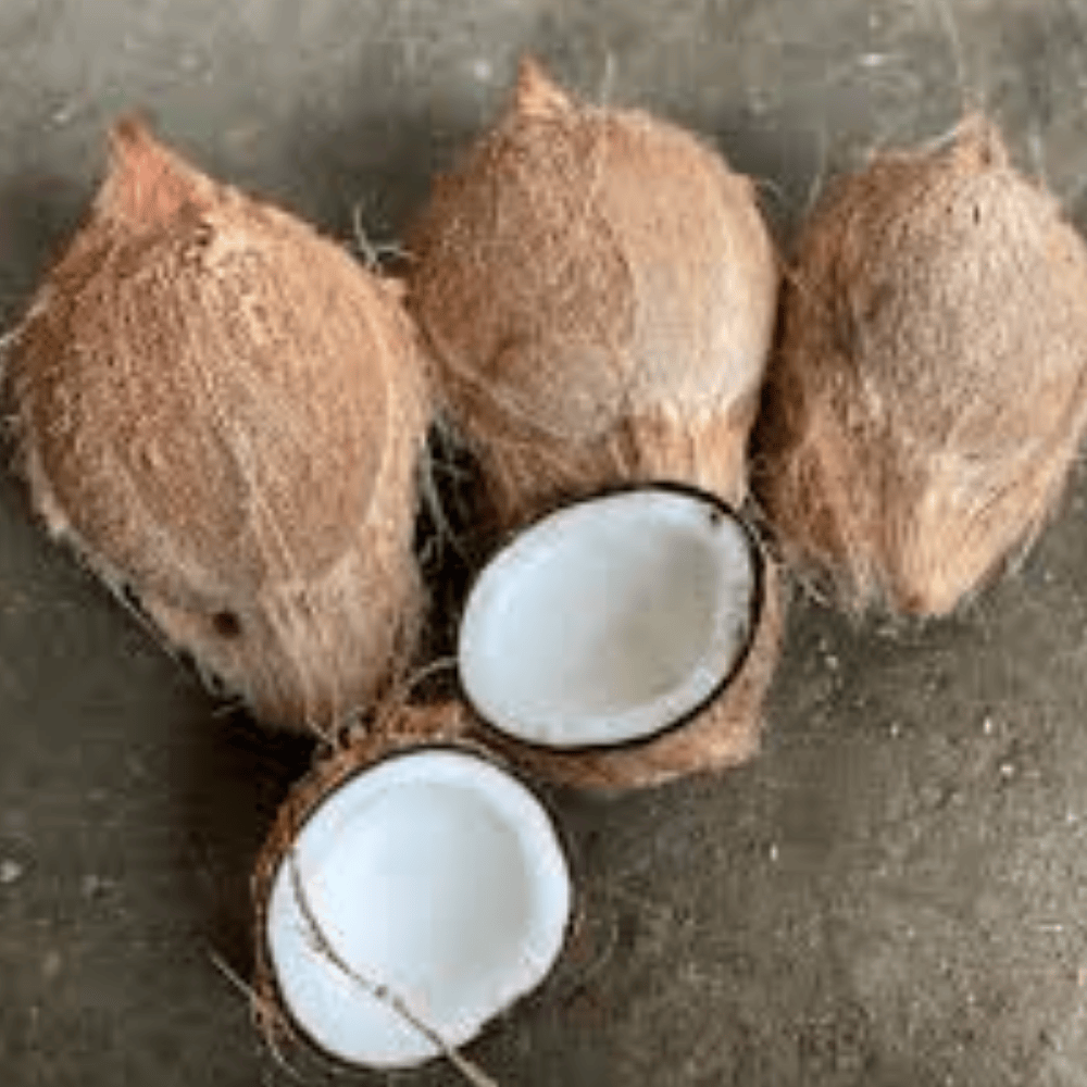 Untitled design - 2025-06-09T111152.376