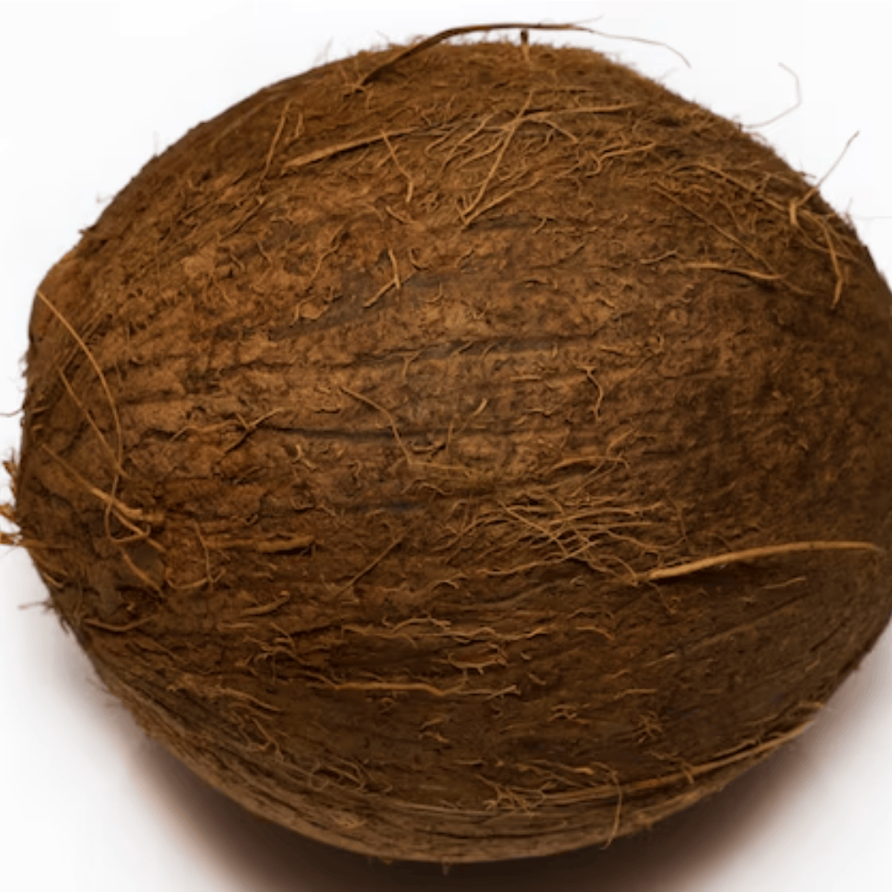 Untitled design - 2025-06-09T111518.667