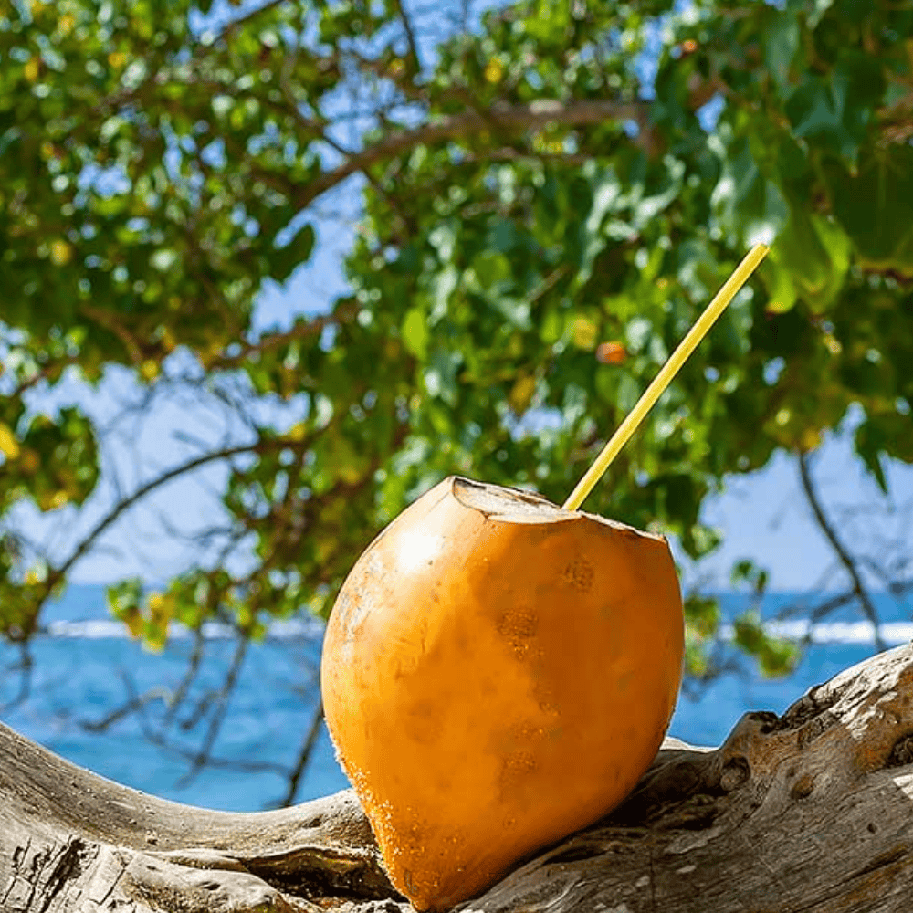 Untitled design - 2025-06-09T112032.466