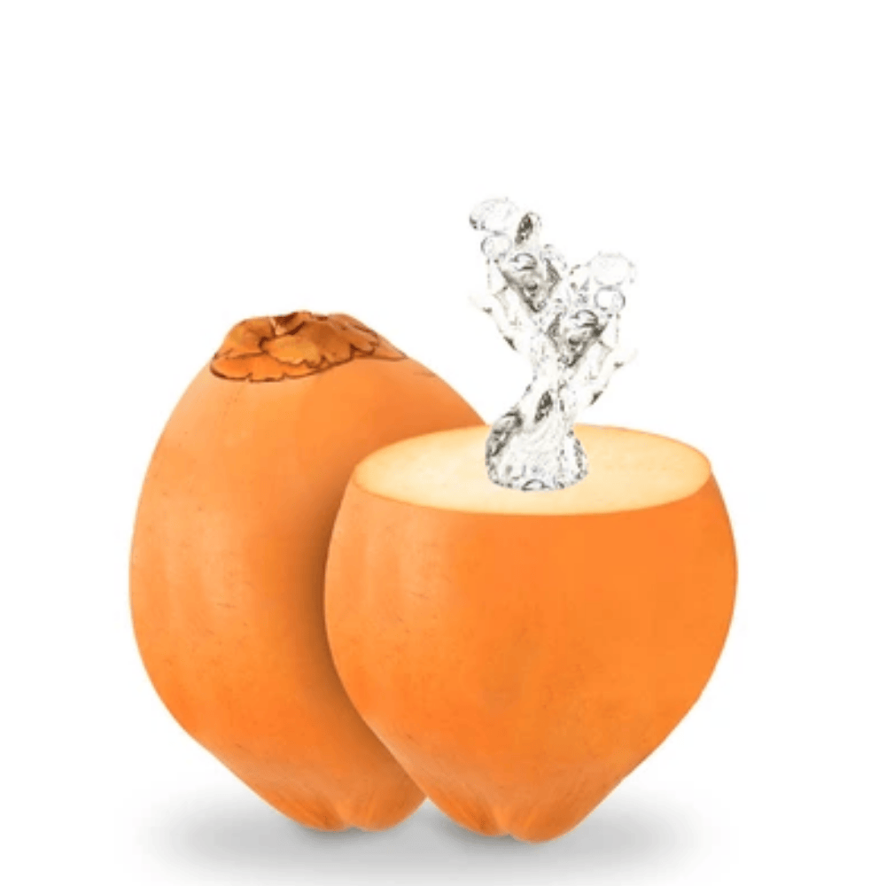 Untitled design - 2025-06-09T112055.368