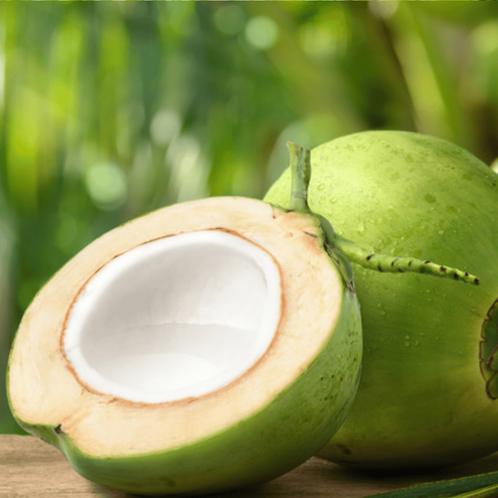 Untitled design - 2025-06-09T112222.426