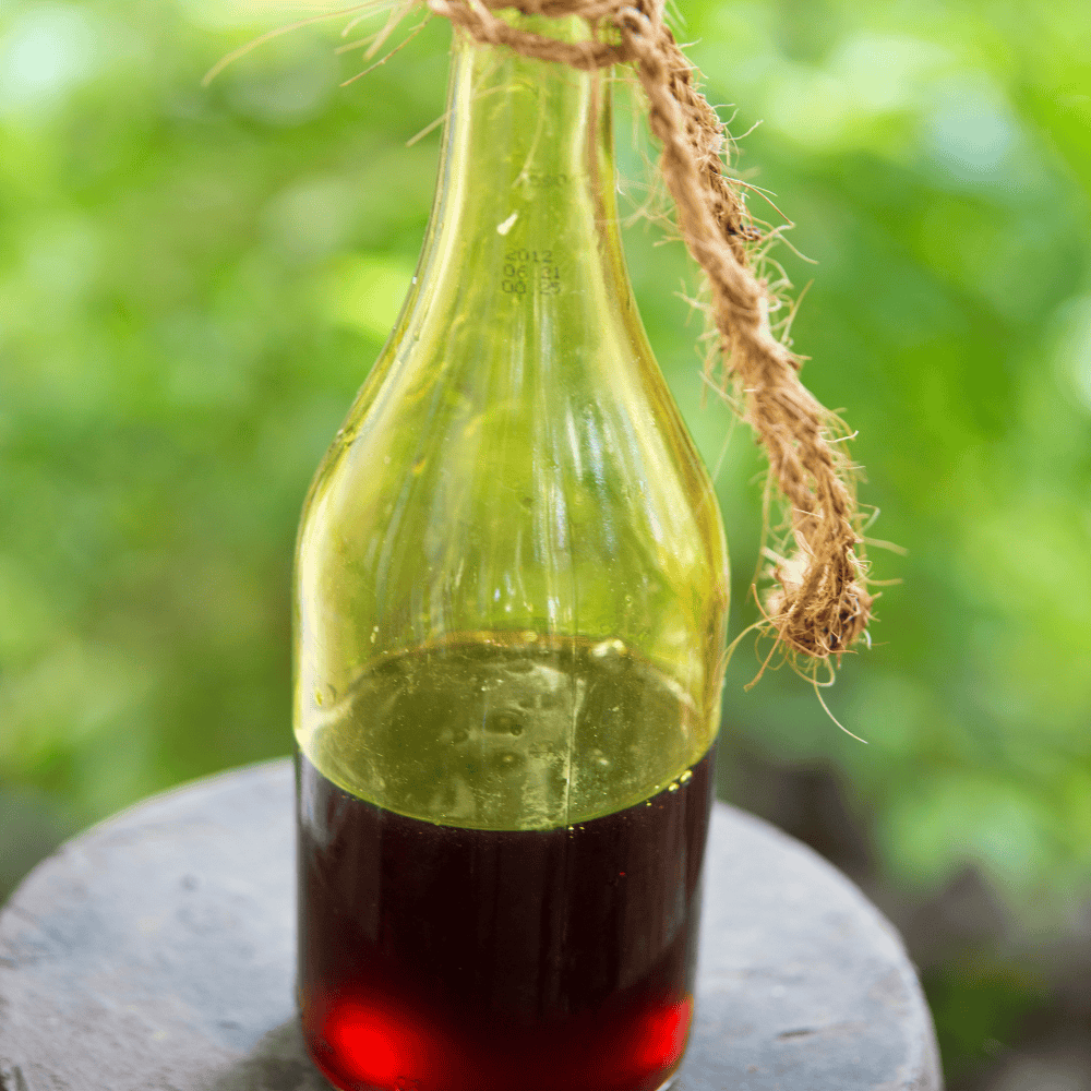 Untitled design - 2025-06-20T110451.696